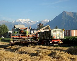 Getreidetransport