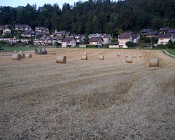 Stroh, Stroh, Stroh......